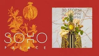 Da Vosk Docta - 30 Stopni [from 