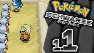 Pokémon Schwarz #1.1 -Alle labern uns voll- [Random²]