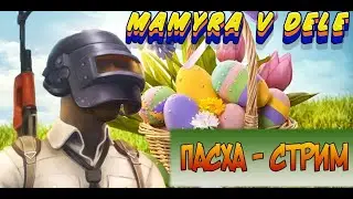 MAMYRA В ШОКЕ ЧИТАК НА АЭРОПЛАНЕ #shorts #pubg #pubglite