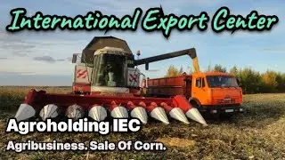Agribusiness. Growing corn, making a profit from the sale. Agroholding IEC. Agricultural industry.