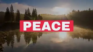 PEACE - ICERTIAS Survey - Europe - October 2020