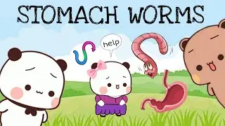 Kiwi got stomach worms 🪱|| Bubu Dudu Peach Goma Panda Bear Cats || Kittensisland