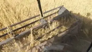 Палессе GS12