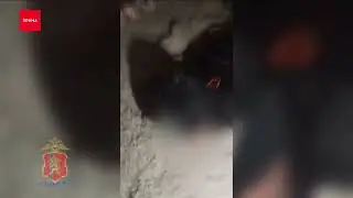 Преступники украли майнинг-ферму в Березовке