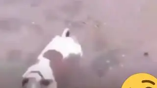 Вот чем опасно пивко))