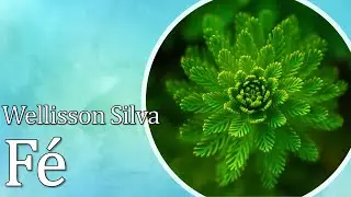 Fé - Wellisson Silva