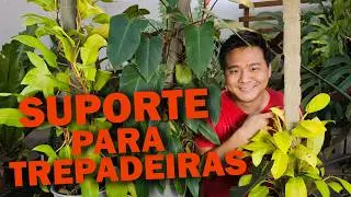 Tutores simples e baratos para suas trepadeiras.