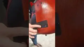 New From NAMM 2024 - Ibanez Fretless - Semi Hollow Bass Guitar