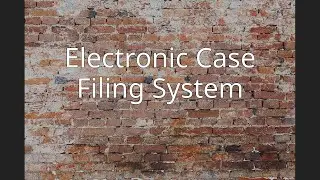 Electronic Case Filing System