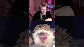 ФЕДОС СЛУШАЕТ ЁЖИКА