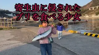 【閲覧注意】長崎のブリを捌いたら…！家族で釣りに行こう！