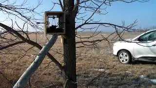 Установка ящиков на куницу! Канада