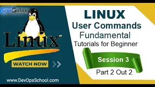 Linux user commands Fundamental Tutorials for Beginner | Session 3 | Part 2 Out 2