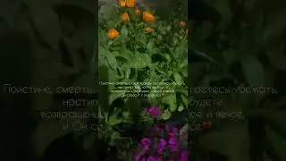 Поистине, смерть ближе чем мы думаем💔😭