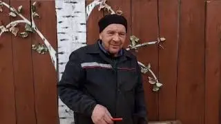 Эксперимент 1. Зимовка на сах/сиропе без сотов, окончен.