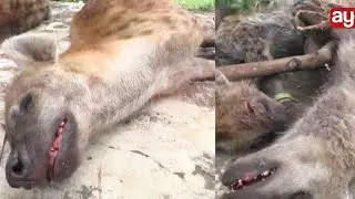 FISI 22 WAUAWA, WAMEUA WATU WATANO, MAMA AMWAGA MACHOZI 