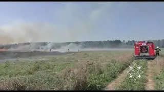 Загорание зерновых на поле. Могилевский район