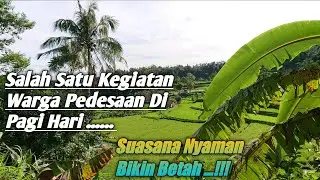 SALAH SATU KEGIATAN WARGA DESA DI PAGI HARI.