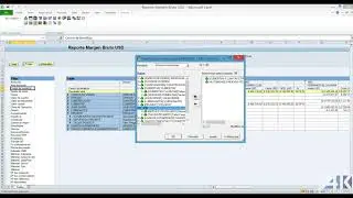 4K Tutorial SAP BI - BEx Analyzer