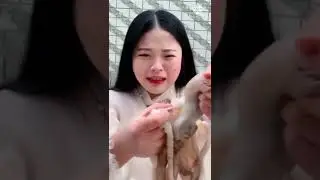 Octopus Attack, octopus bite, sea animal,