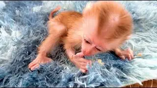 2 Little Girl Play