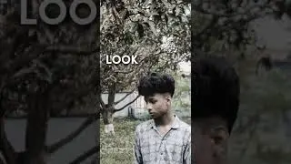 Look At