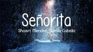 Shawn Mendes, Camila Cabello - Señorita (Lyrics)