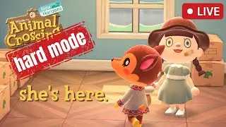 🔴 My ENEMY moved to my hard mode island... | Live Stream | Animal Crossing New Horizons