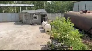 1 июля 2024 г.