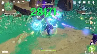 Test Damage Masanori Tim Alhaitham Prematur