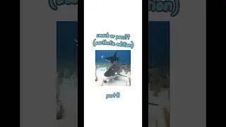 smash or pass? | part 11! #tiktok #rizz #shortsfeed #cute #aesthetic #youtubeshorts #youtube