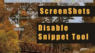 Screenshots. Disable Snipping Tool