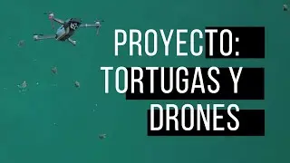 Proyecto: Tortugas y Drones en Escobilla, Oaxaca.