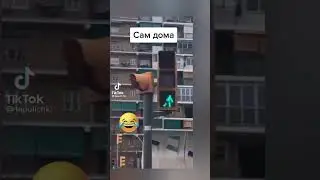 На что указывает этот светофор😂😂приколы тик тока ржака угар лютое видео