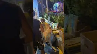 Художники на улице Кемера, и этот взгляд 🥰 