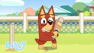 🔴 IN DIRETTA: Sport sorprendenti con Bluey | 30 MINUTI+ | Bluey Italiano Canale Ufficiale