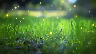 Healing music, Sleep music Music you listen to when you sleep l Meditation music