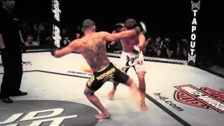 Renan Barao 2014 Highlight video