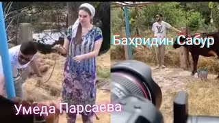 Умеда Парсаева иштирокчи бонуи пурхунар Umeda Parsaeva