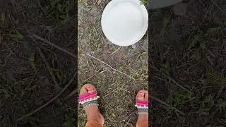 ضاع تلفوني بس الحمدلله لقيته