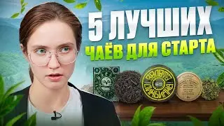 С чего начать знакомство с китайским чаем? 5 сортов для новичка