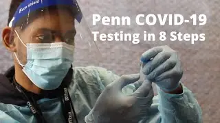 Penn COVID-19 Testing in 8 Steps