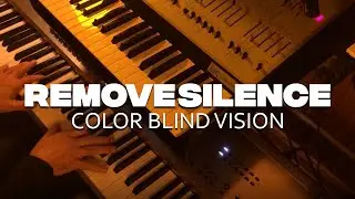 REMOVE SILENCE - Color Blind Vision (Quarantine Sessions)