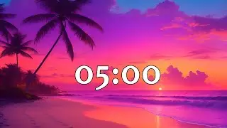 5 Minute Timer. no music