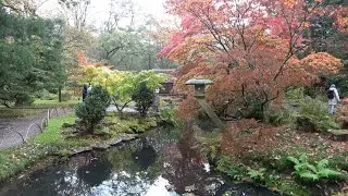 Japanese Garden at Clingendael Park, the Hague, the Netherlands