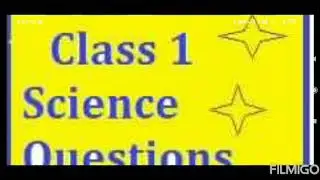 Evs quizes class1part-2