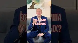 Есть ли ДУША у животных? #животные #психология #душа