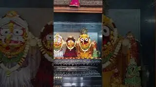 Jaga to kala andhara re..Jay Jagannath #shorts #viral #trend #ytshorts #jagannath #yt