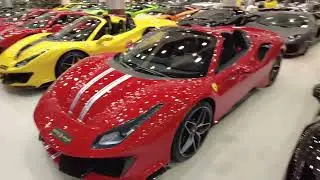 How many cars can you see in Q Motors Dubai ?