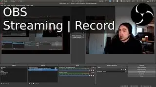 OBS How to stream, record. Encoding, separate voice and sounds.